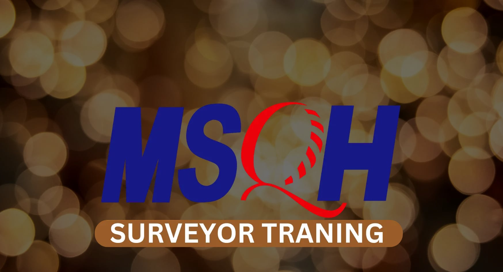 MSQH Surveyor Training